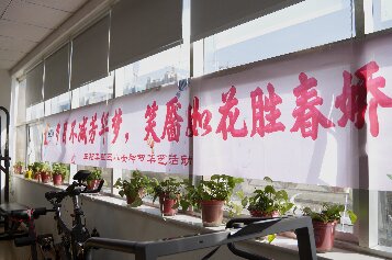 璀璨38女神节，正阳与你们共度欢乐时光